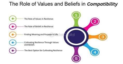 The Role of Compatibility: How Shared Values and Interests Influence Attraction