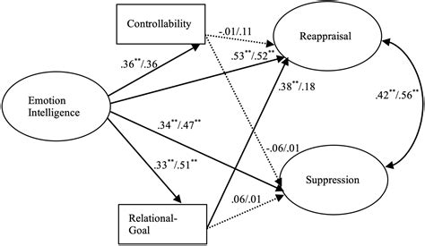 The Role of Context and Emotions