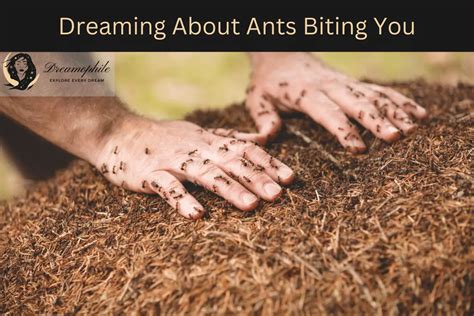 The Role of Fear and Anxiety in Dreams about Ants Biting