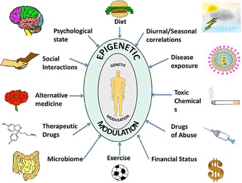 The Role of Genetics: Understanding How Your Genes Influence the Shape of Your Legs