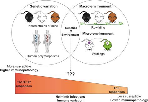 The Role of Genetics and Environmental Factors