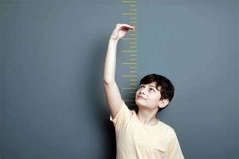 The Role of Genetics in Determining Height and Its Impact on Personal Satisfaction