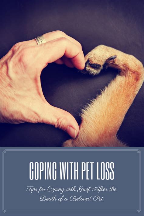 The Role of Guilt and Self-Doubt in the Decision to Separate from Your Beloved Pet