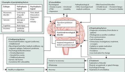 The Role of Neurological Factors in the Manifestation of Multiple Identities