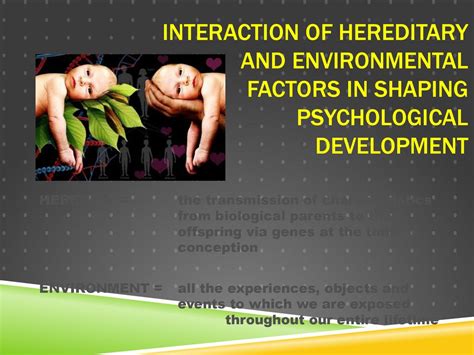 The Role of Psychological Factors in Shaping Parental Aspirations for Ideal Offspring's Appendages