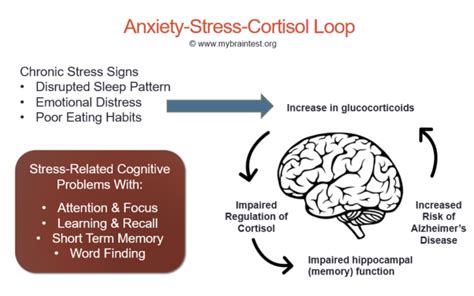 The Role of Stress and Anxiety in Enigmatic Memory Loss Dreams