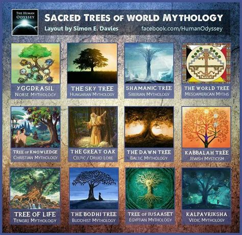 The Role of Trees in Ancient Mythology