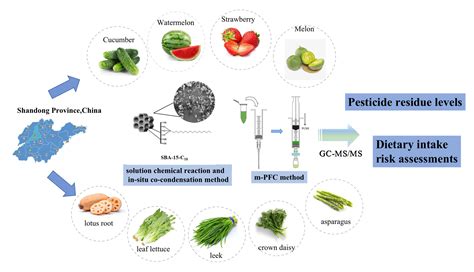 The Role of Vinegar in Eliminating Pesticide Residues from Lettuce