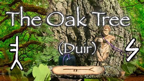 The Role of the Mighty Oak in Myths, Legends, and Folklore