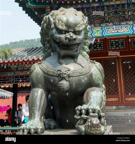 The Sacred Origins of the Majestic Chinese Lion