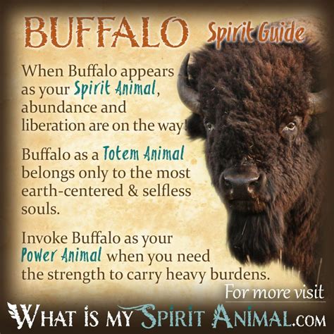 The Sacred Rituals and Symbolic Elements of Buffalo Conflict