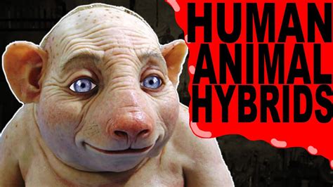 The Science Behind Animal-Human Hybrids: Unraveling the Genetic Possibilities