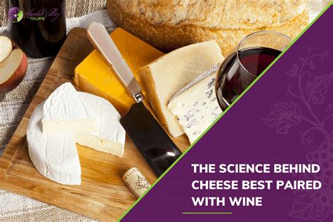 The Science Behind Cheese: Understanding the Basics