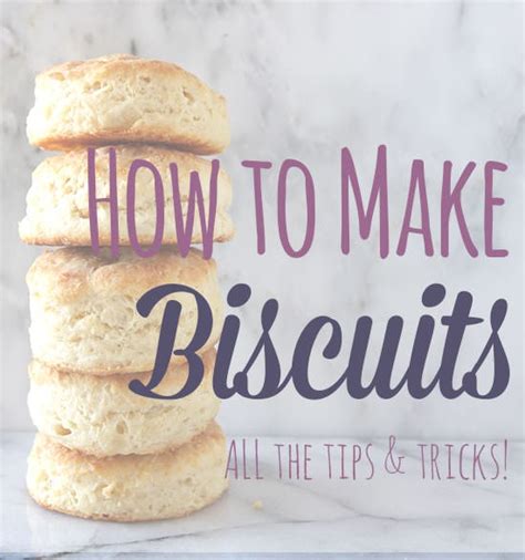 The Science Behind Creating the Perfect Biscuit: Ingredients and Techniques