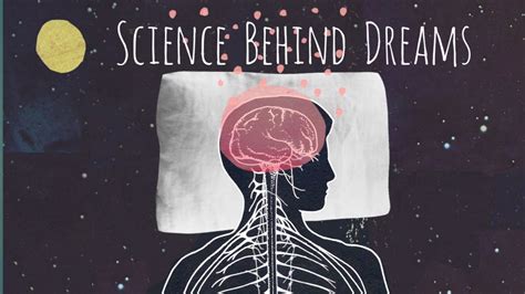 The Science Behind Dreaming: Understanding the Fundamentals