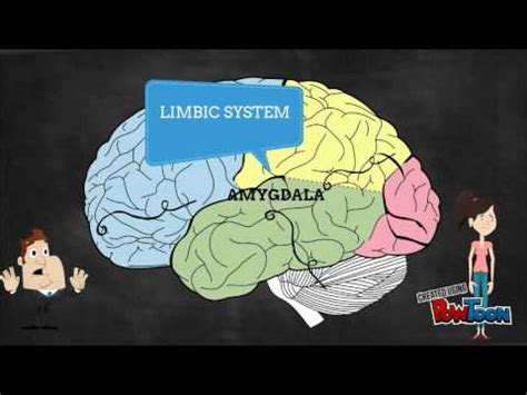 The Science Behind Dreaming and Phlegm