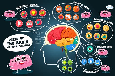 The Science Behind Embraces: How They Influence Our Brain and Body