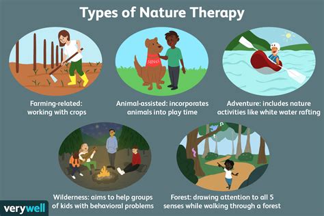 The Science Behind Embracing Nature: Understanding the Physical and Emotional Benefits