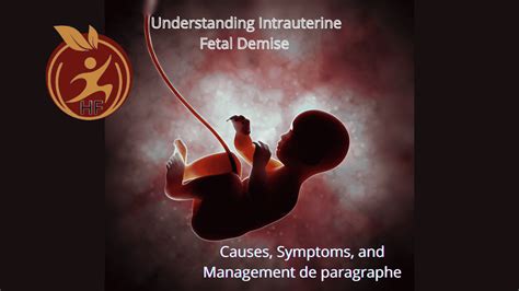 The Science Behind Fetal Mobility: Understanding the Intricacies of Intrauterine Movements