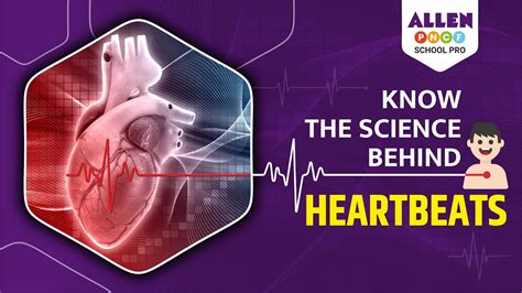 The Science Behind Heartbeats in Dreams