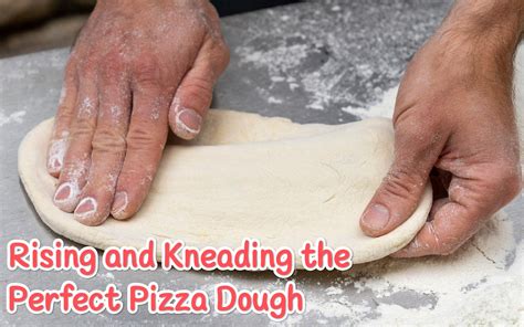 The Science Behind Kneading and Proofing