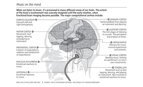 The Science Behind Musical Dreams: Understanding the Brain's Role in Creating the Experience