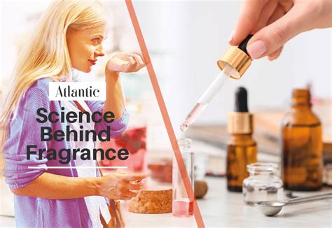 The Science Behind Perfumes: How They Affect Our Senses