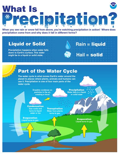 The Science Behind Precipitating Creatures: Understanding the Exceptional