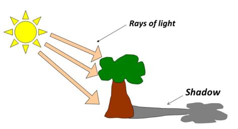 The Science Behind Shadow Formation