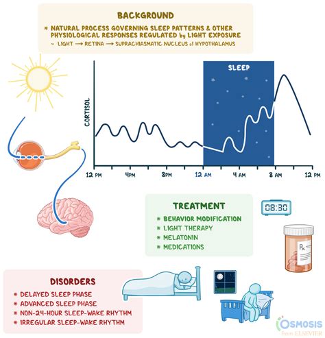 The Science Behind Sleep and Circadian Rhythms in the Natural Environment