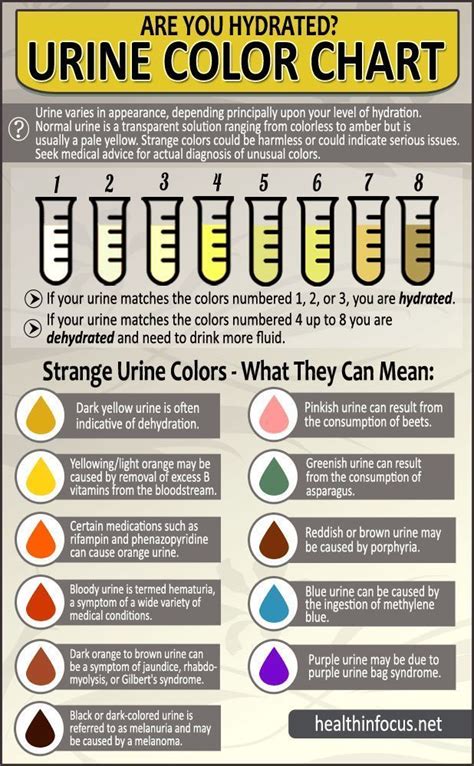 The Science Behind Urine Color and Its Relationship to Dream Dynamics