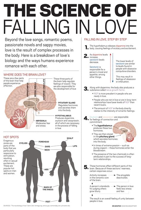 The Science Behind the Connection Between Romantic Melodies and Our Brain