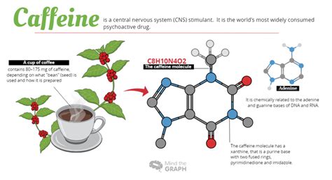 The Science Behind the Effect of Caffeine on Dream Experiences