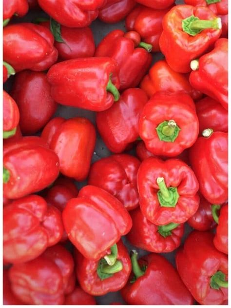 The Science Behind the Experience of Consuming Zesty Bell Peppers: A Deeper Look