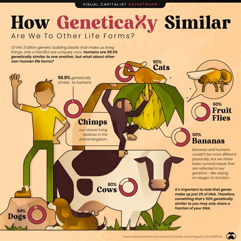 The Science Behind the Phenomenon: Decoding the Genetic Connection Between Dogs and Humans