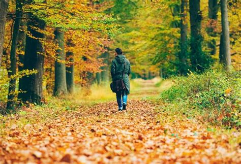 The Science Behind the Serenity: How Beach Walks Impact Our Mental Well-being