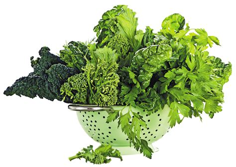 The Science Behind the Yearning for Fresh Leafy Greens