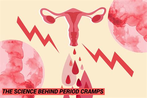 The Science behind Menstrual Cramps: Causes and Symptoms