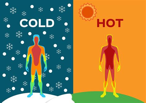 The Science behind Temperature Control: Maintaining Optimal Hot or Cold Conditions