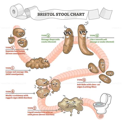 The Science behind an Enjoyable Bowel Release