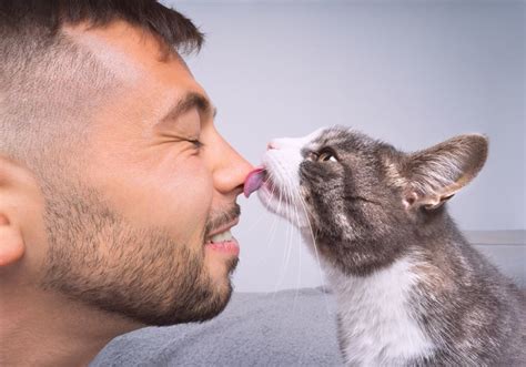 The Science behind the Fascinating Bond between felines and Humans