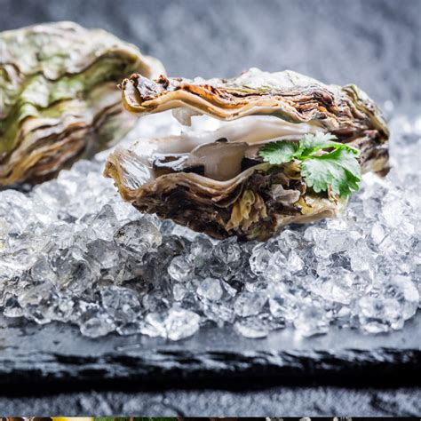 The Science behind the Sensation: Exploring the Taste, Texture, and Aroma of Oysters