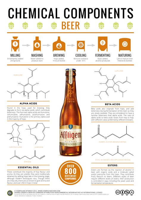 The Science of Beer: Revealing the Chemistry and Brewing Process