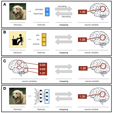 The Science of Decoding Dream Messages: Insights from Cognitive Neuroscience and Psychological Research