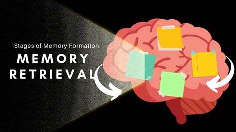 The Science of Dreams: Unraveling the Brain's Role in Memory Retrieval