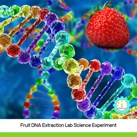 The Science of Enlarging Fruits: Investigating the Genetic Mechanisms Behind Gigantism