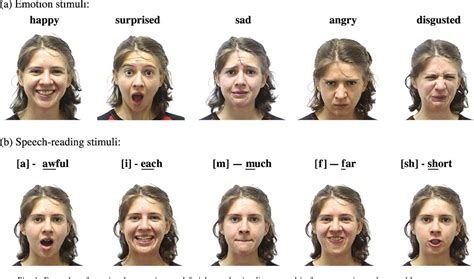 The Science of Facial Expressions: Decoding Emotions