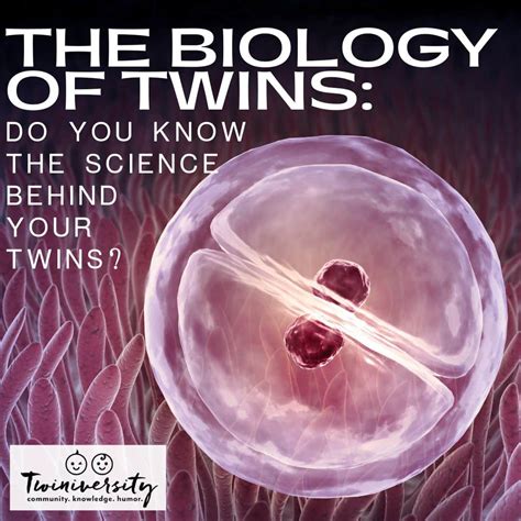 The Science of Twins: Investigating the Biological Basis of Twin Fantasies