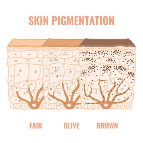 The Scientific Explanation behind Blue Coat Pigmentation