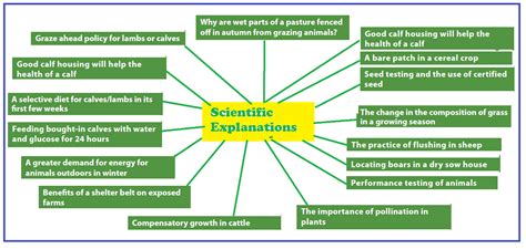 The Scientific Explanation for Soaring Fantasies